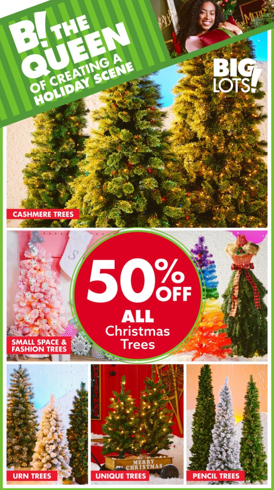 Big Lots Ad