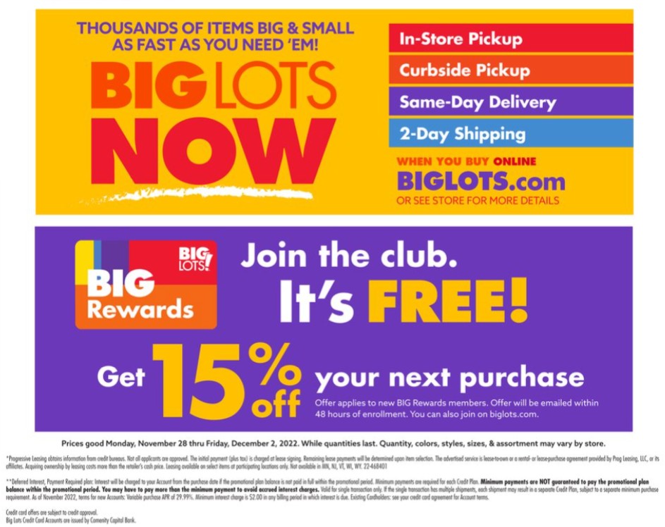Big Lots Ad page 12