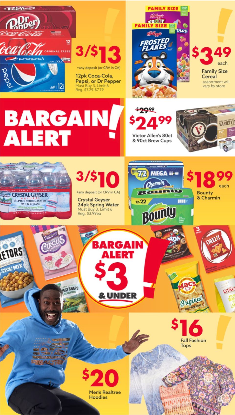 Big Lots Ad