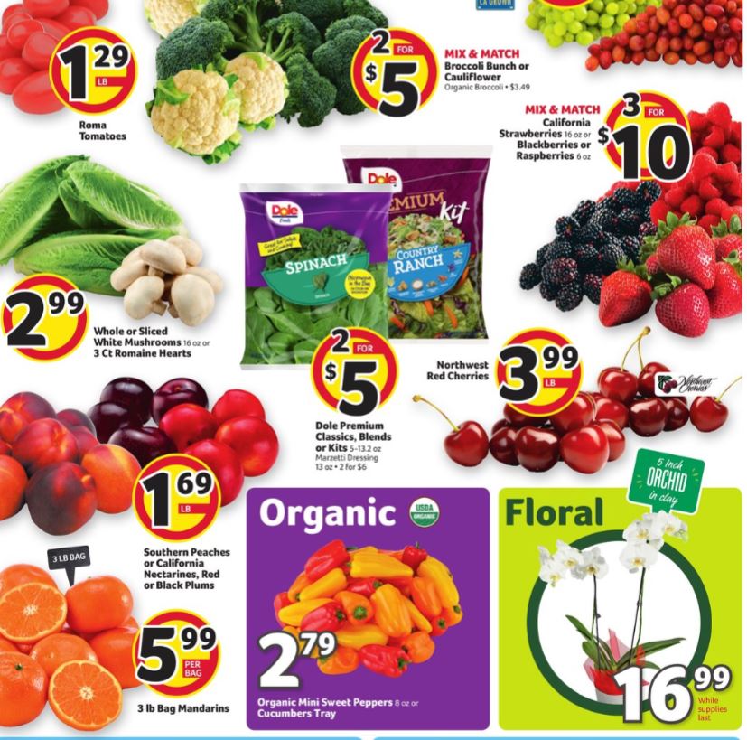 Bilo Ad page 23