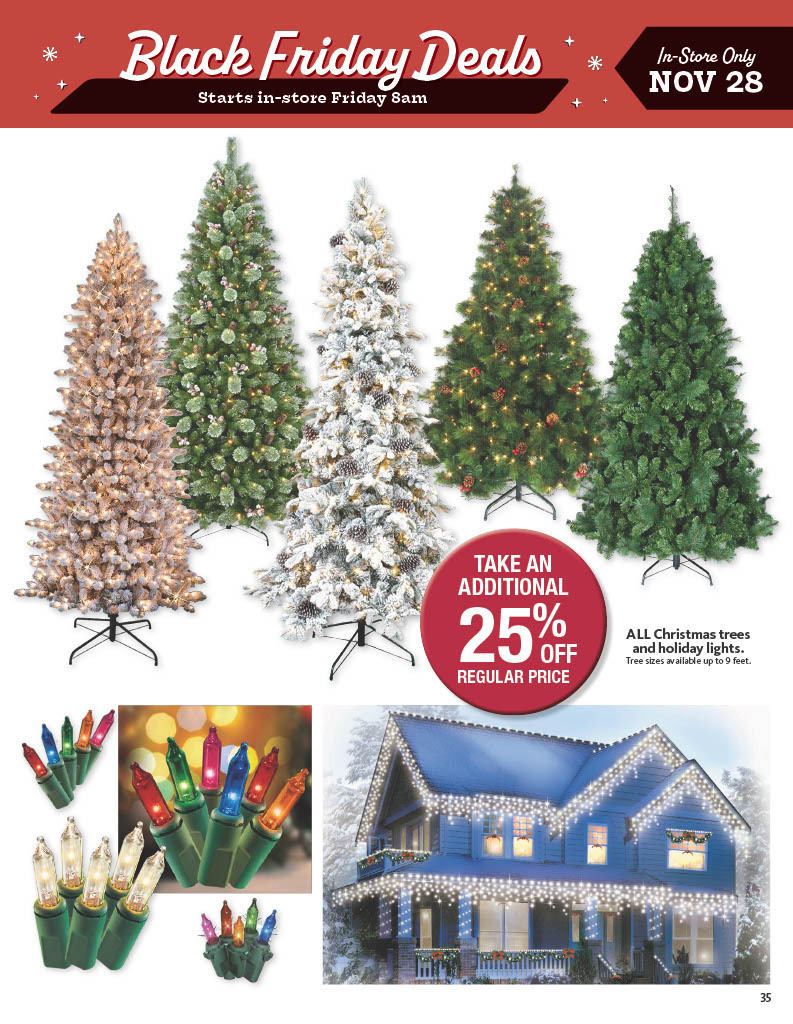 Black Friday Ads page 35