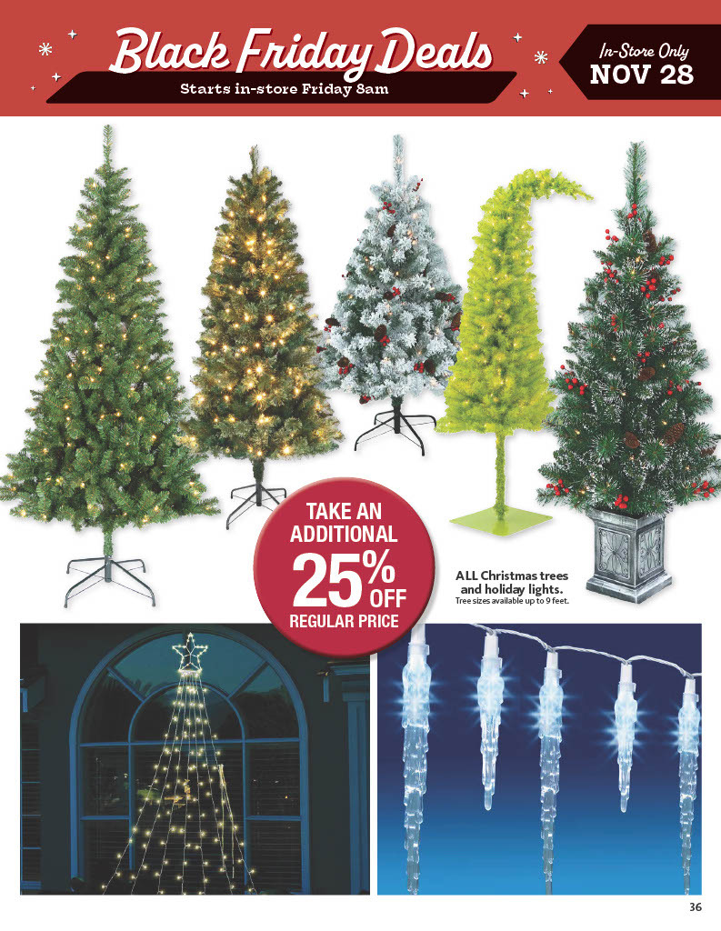 Black Friday Ads page 36