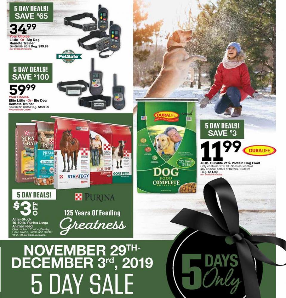 Black Friday Ads page 29