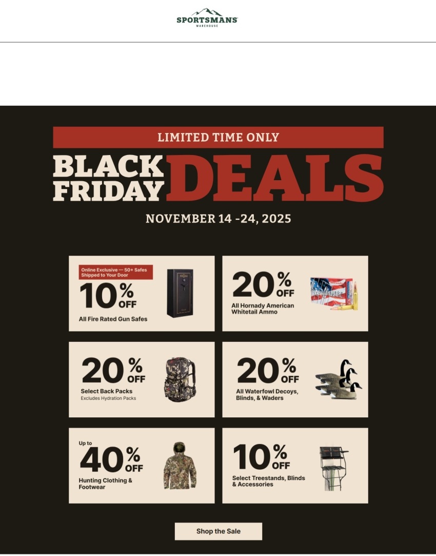 Black Friday Ads