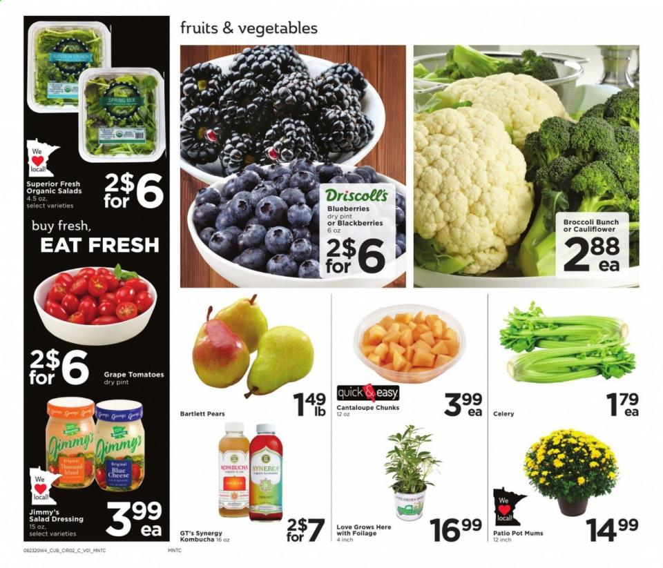 Cub Foods Ad