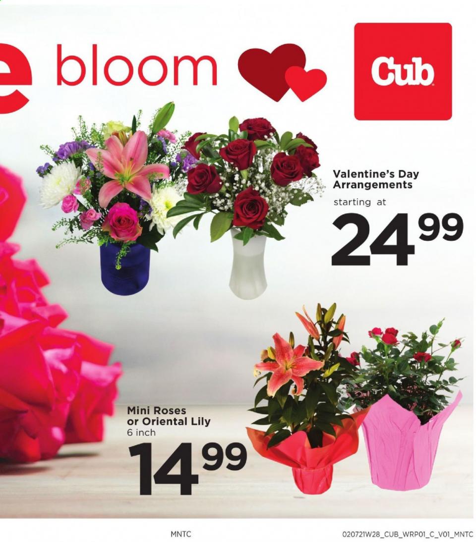 Cub Foods Ad