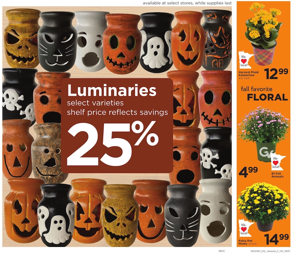 Cub Foods Ad page 21