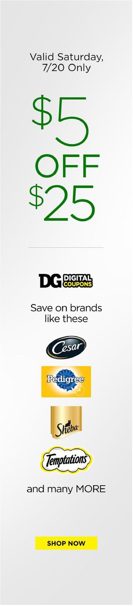 Dollar General Ad