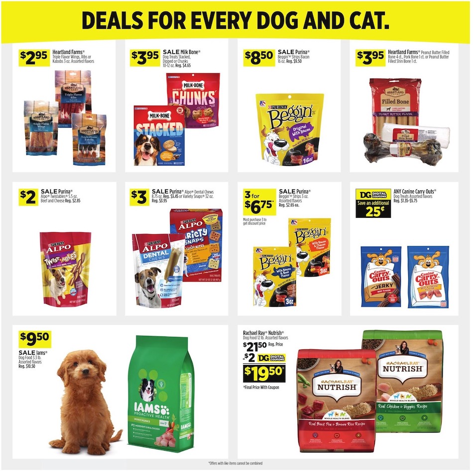 Dollar General Ad page 13
