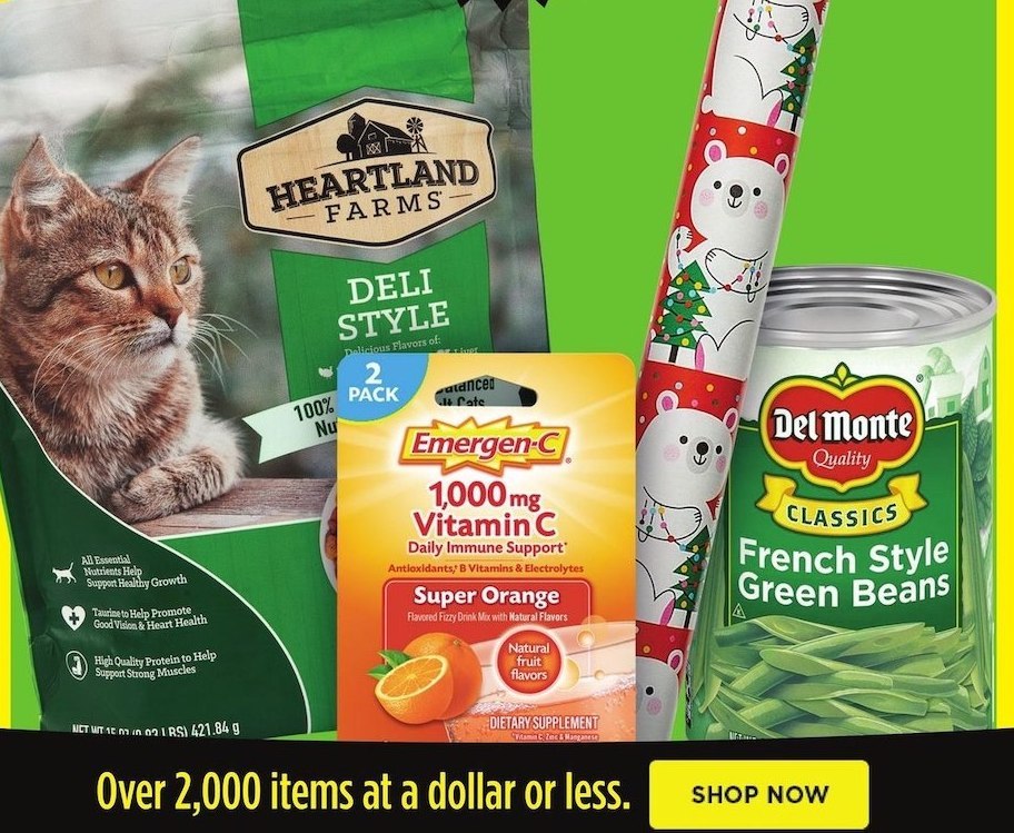 Dollar General Ad page 22
