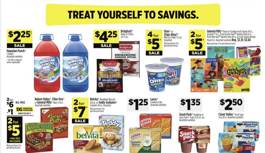 Dollar General Weekly Ad Jan 21 - 27, 2024 | WeeklyAds2