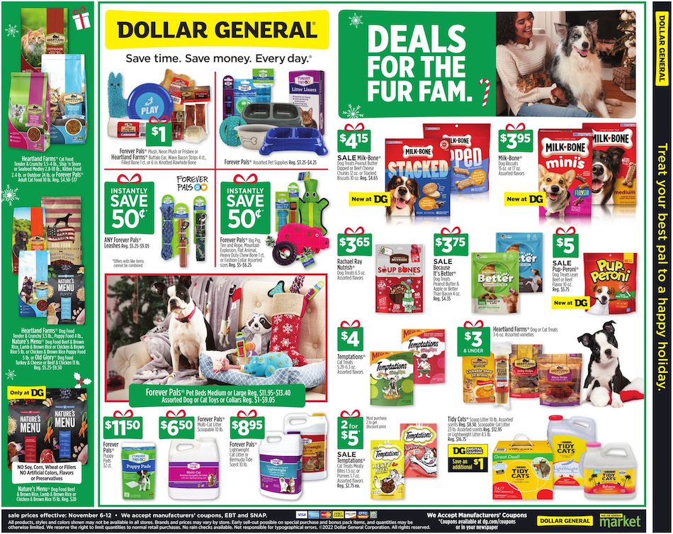 Dollar General Ad page 10