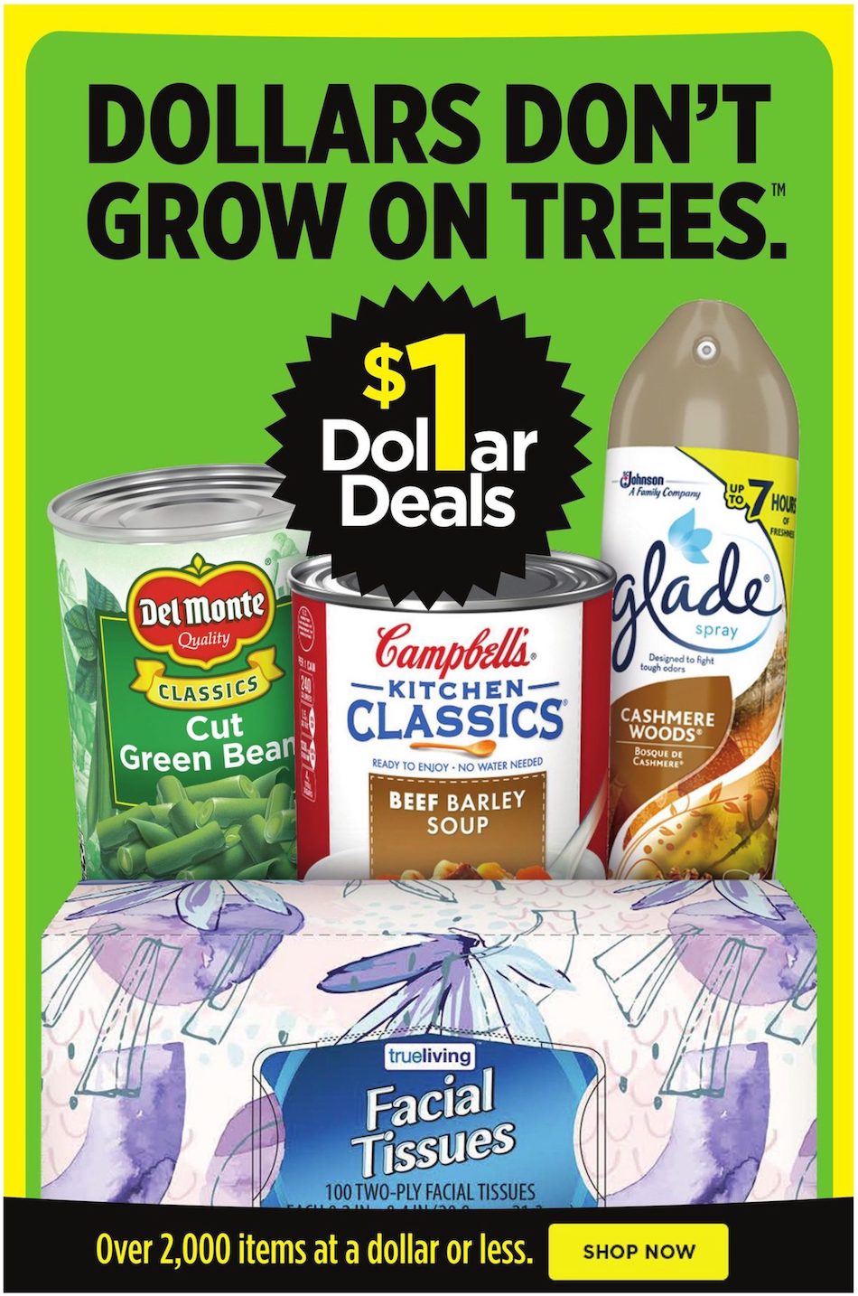 Dollar General Ad page 12
