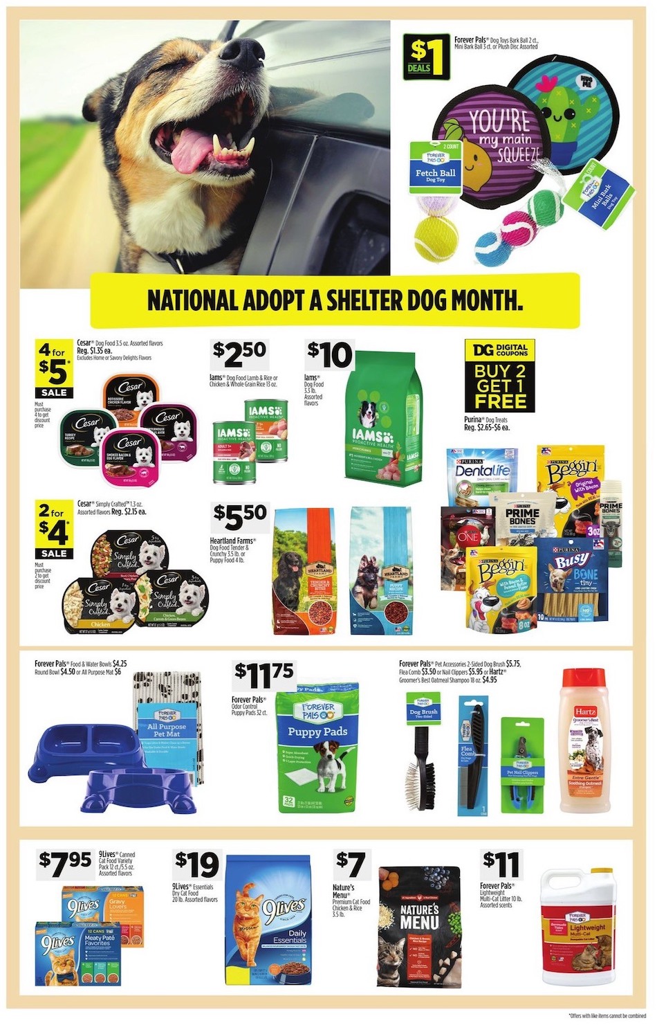 Dollar General Weekly Ad Oct 15 - 21, 2023 page 12