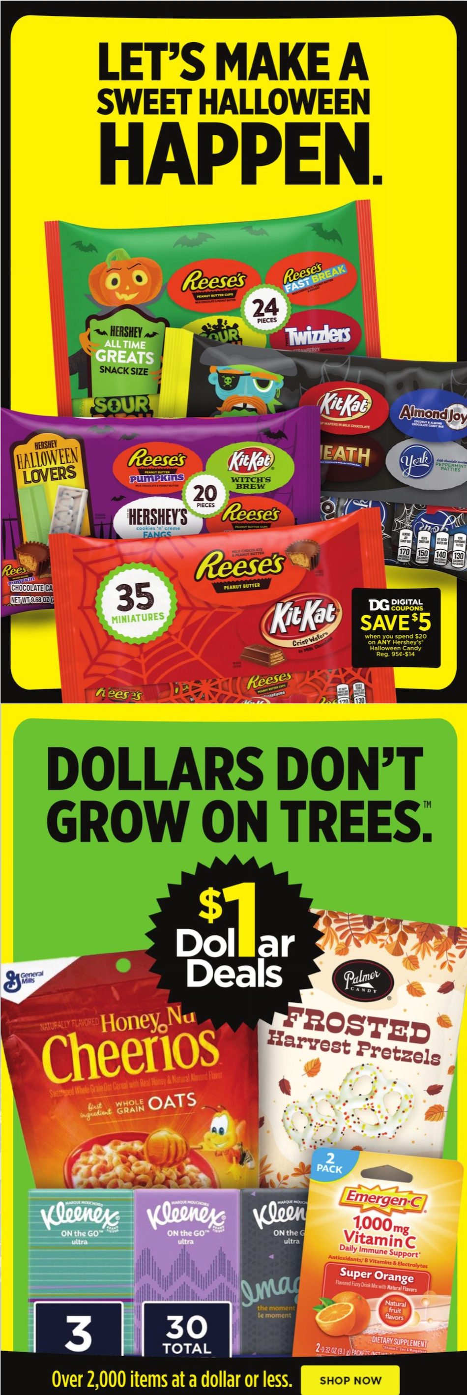 Dollar General Ad page 11
