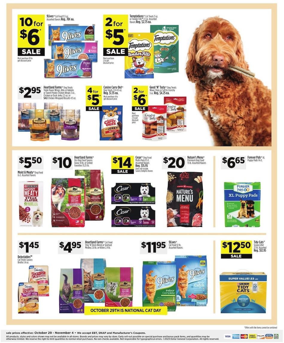 Dollar General Weekly Ad Oct 29 - Nov 4, 2023 page 15