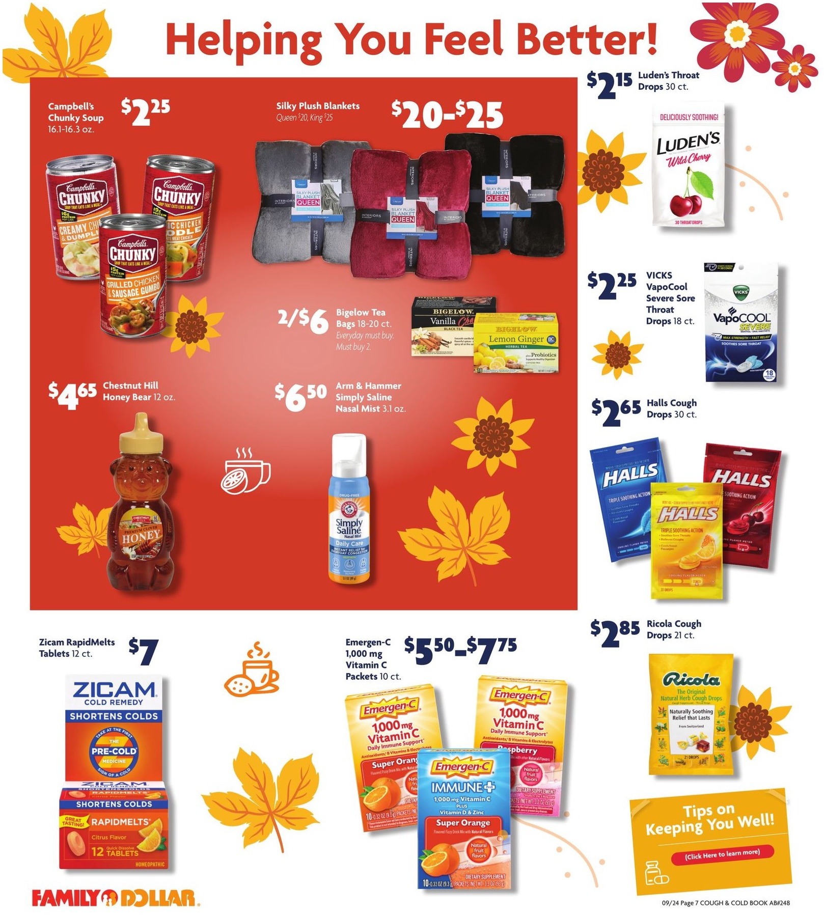 Family Dollar Ad page 7