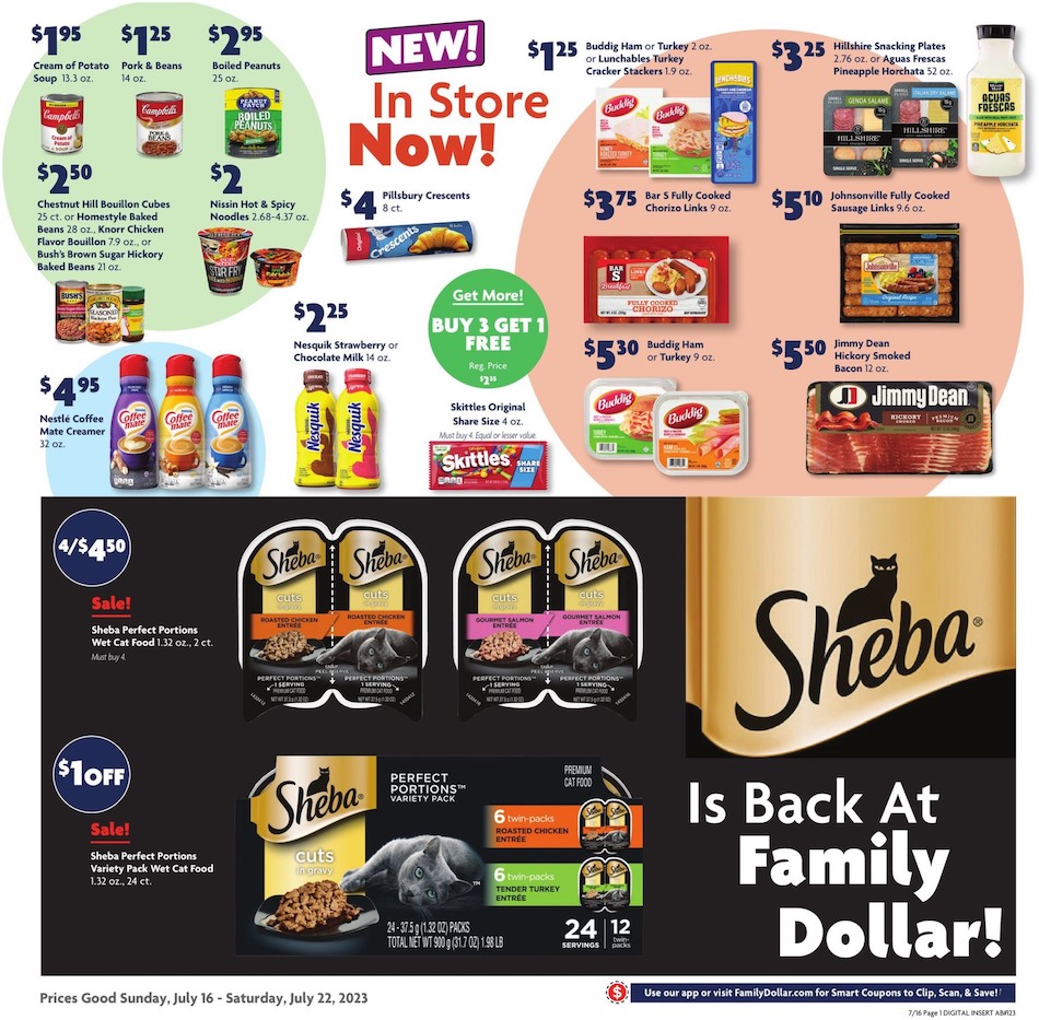 Family Dollar Ad page 4