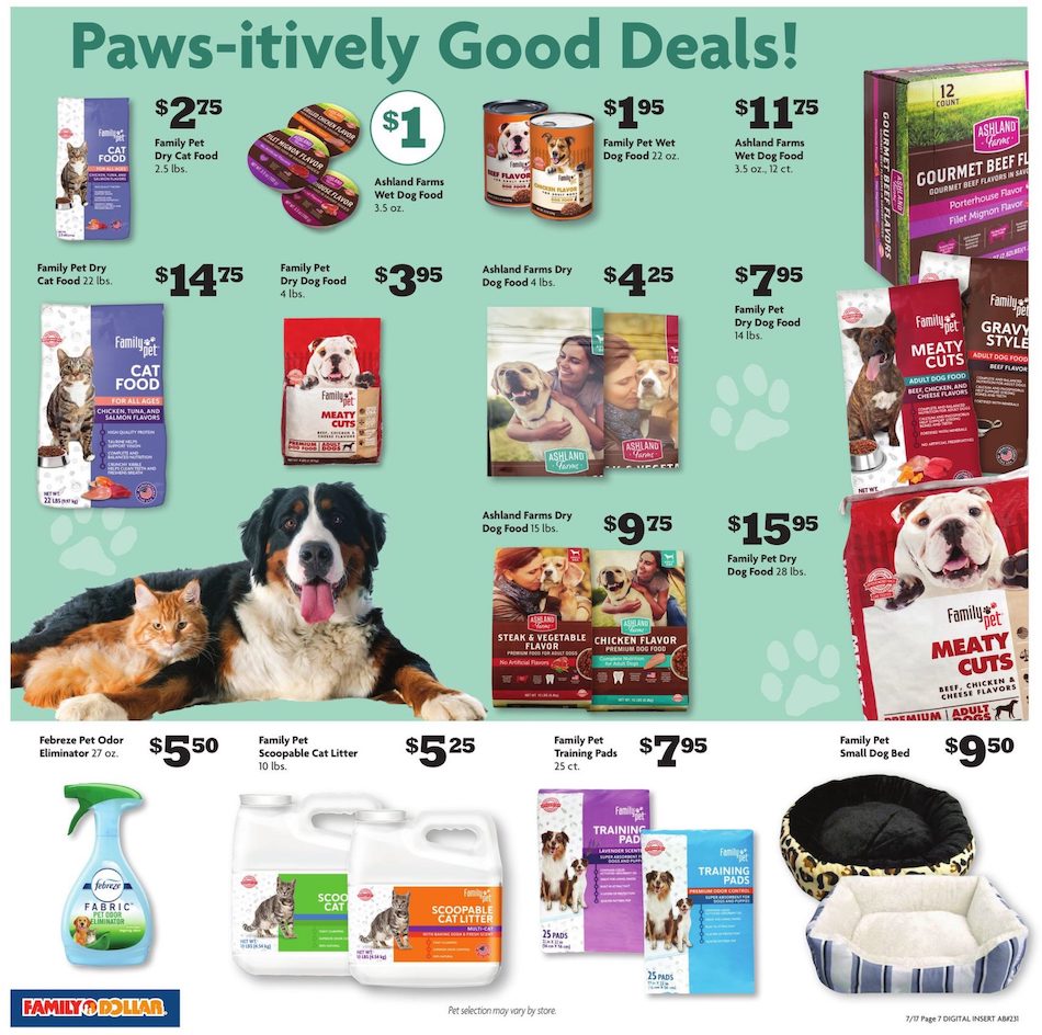 Family Dollar Ad page 10