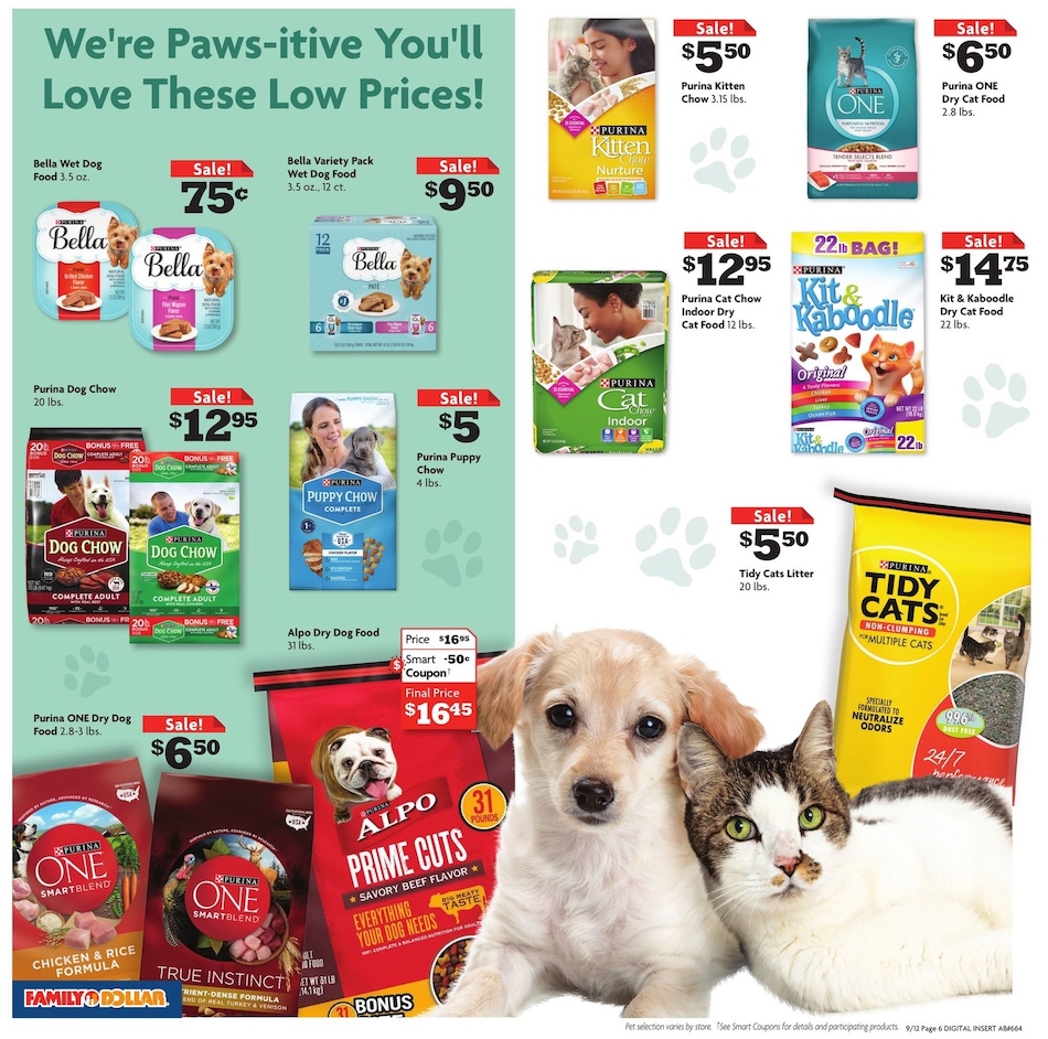 Family Dollar Ad page 7