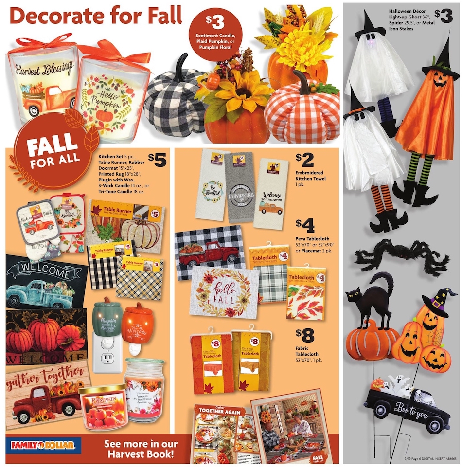 Family Dollar Ad page 7