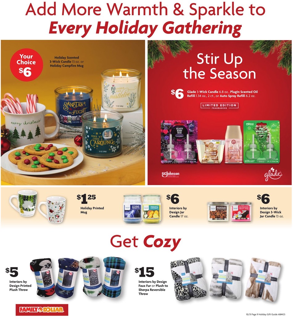 Family Dollar Ad page 10