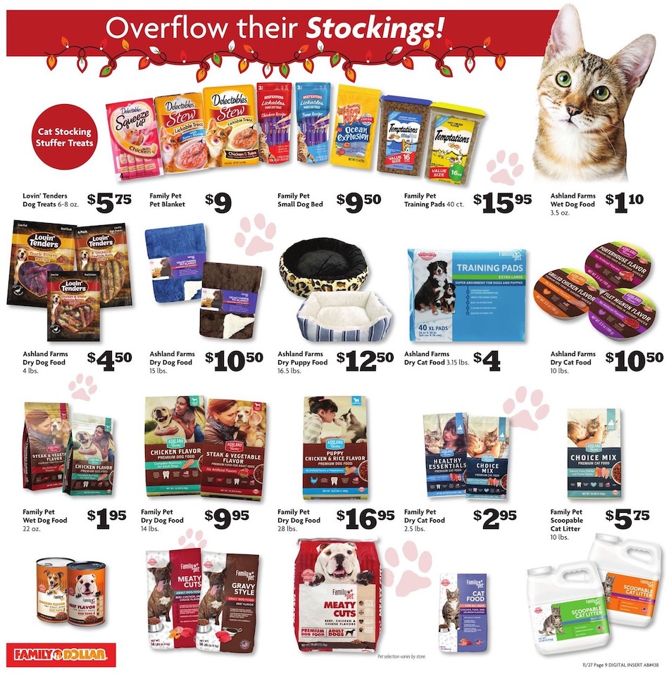 Family Dollar Ad page 19