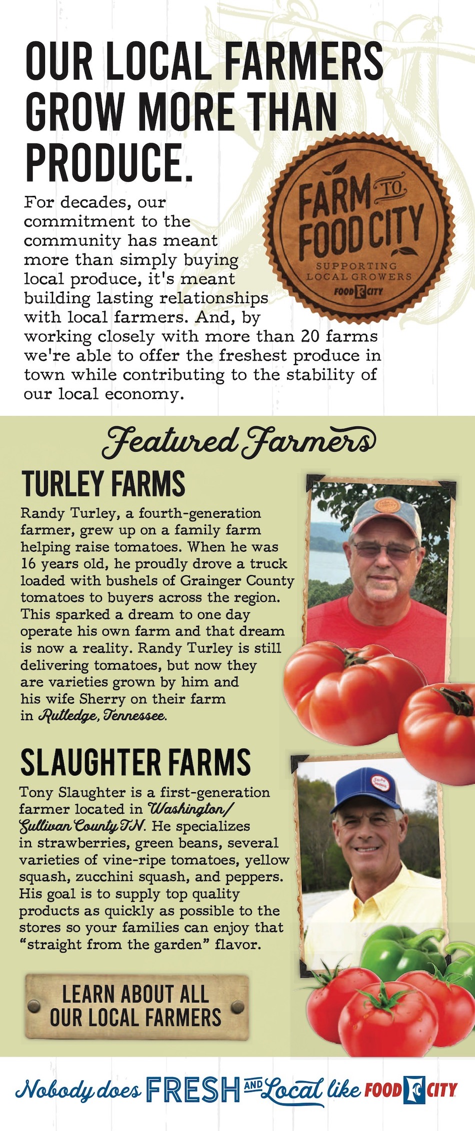 Food City Ad page 11