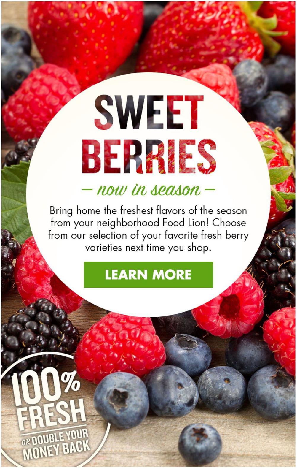 Food Lion Weekly Ad page 8