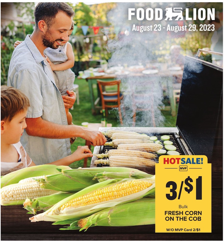 Food Lion Weekly Ad page 13
