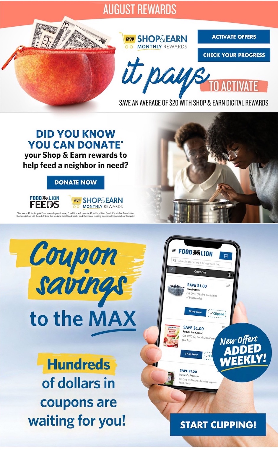 Food Lion Weekly Ad