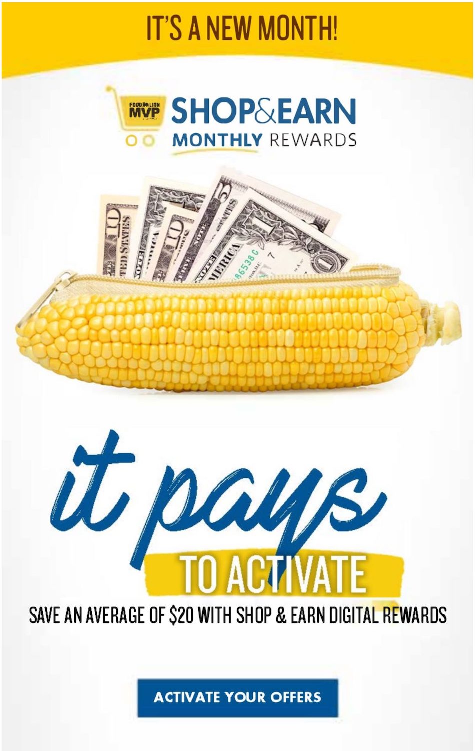 Food Lion Weekly Ad