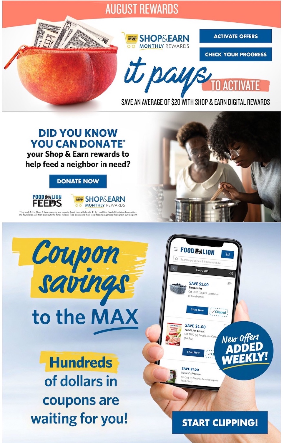 Food Lion Weekly Ad