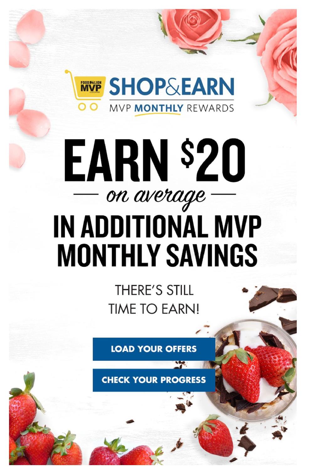 Food Lion Weekly Ad