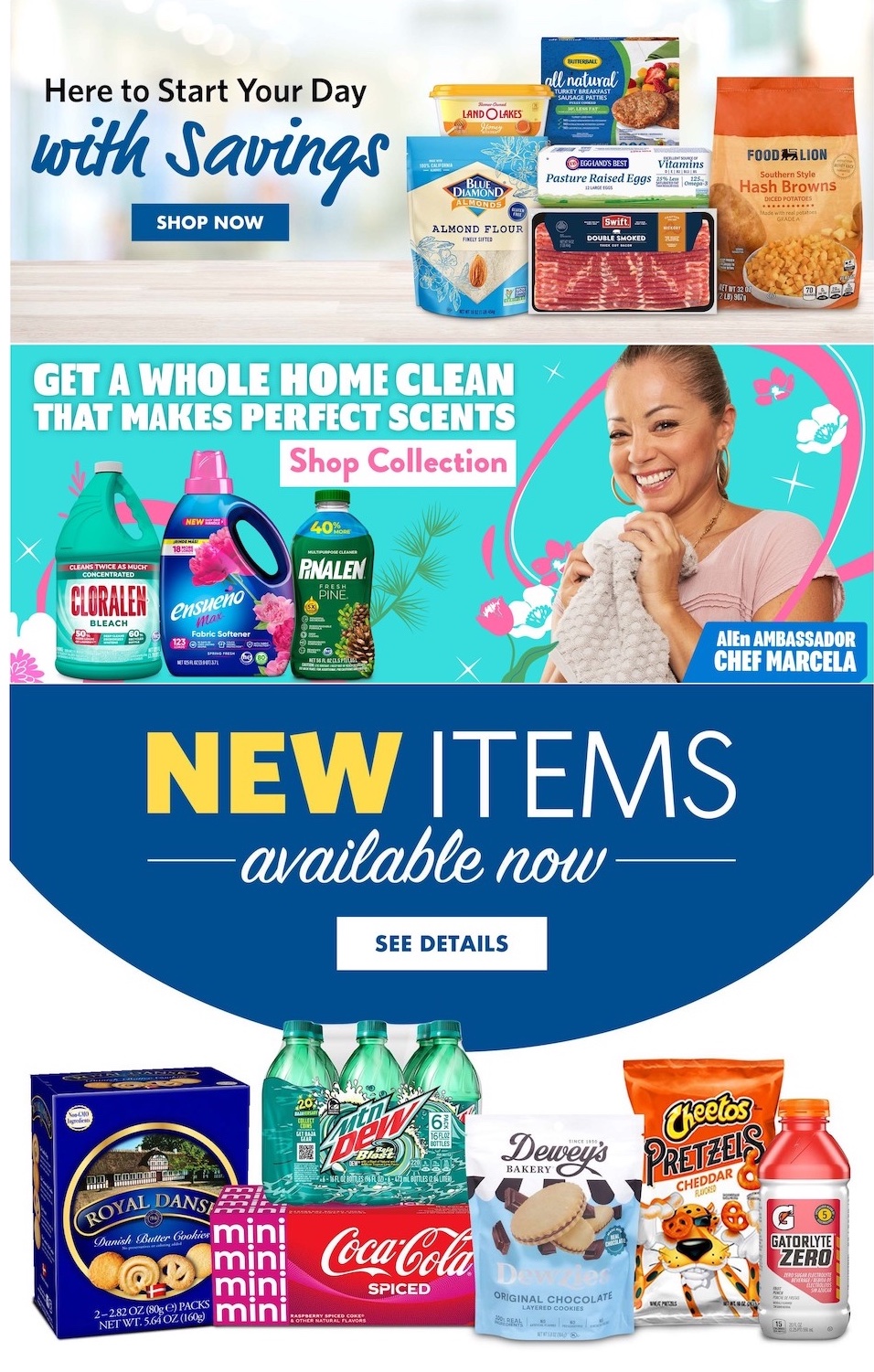 Food Lion Weekly Ad page 10