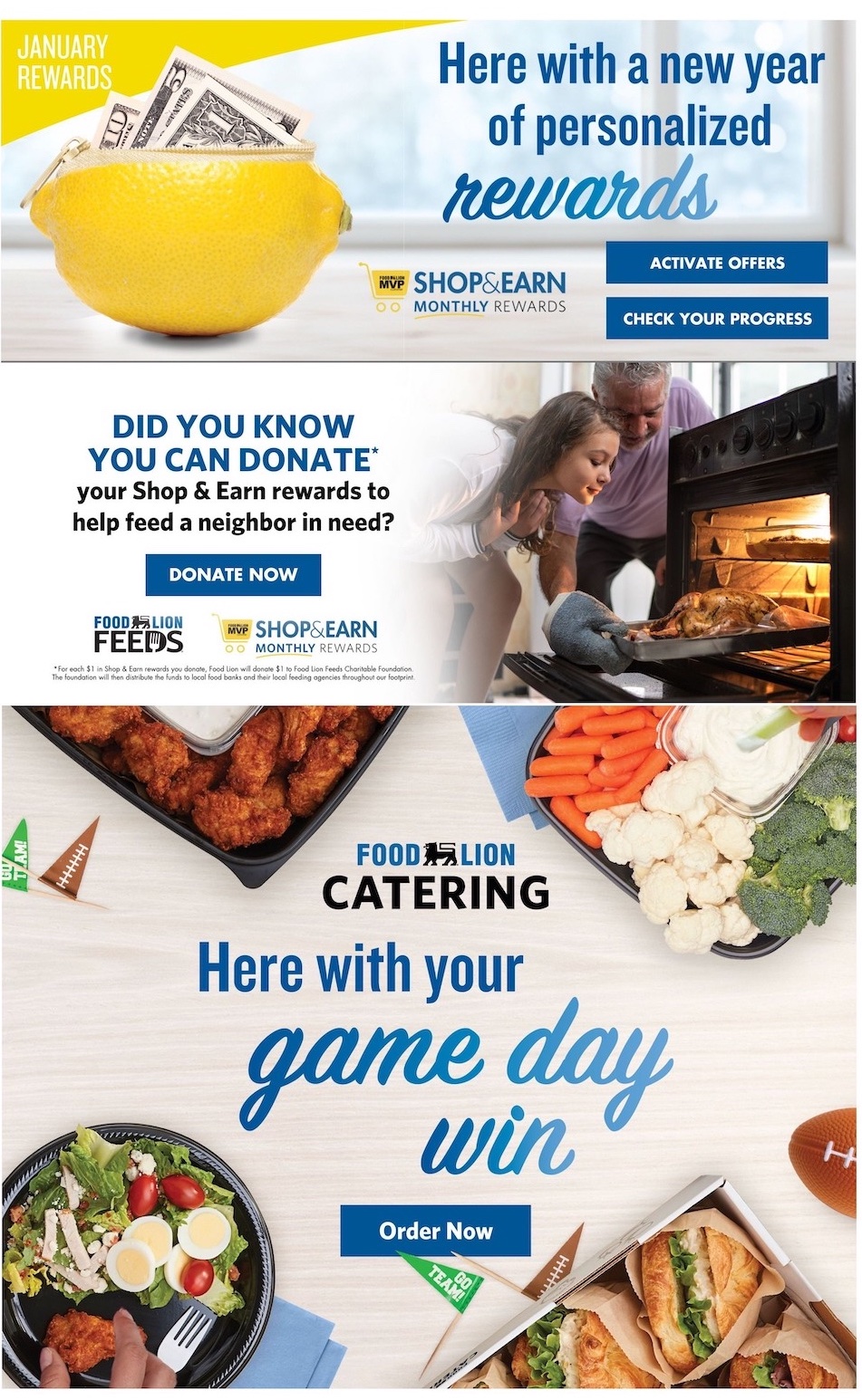 Food Lion Weekly Ad