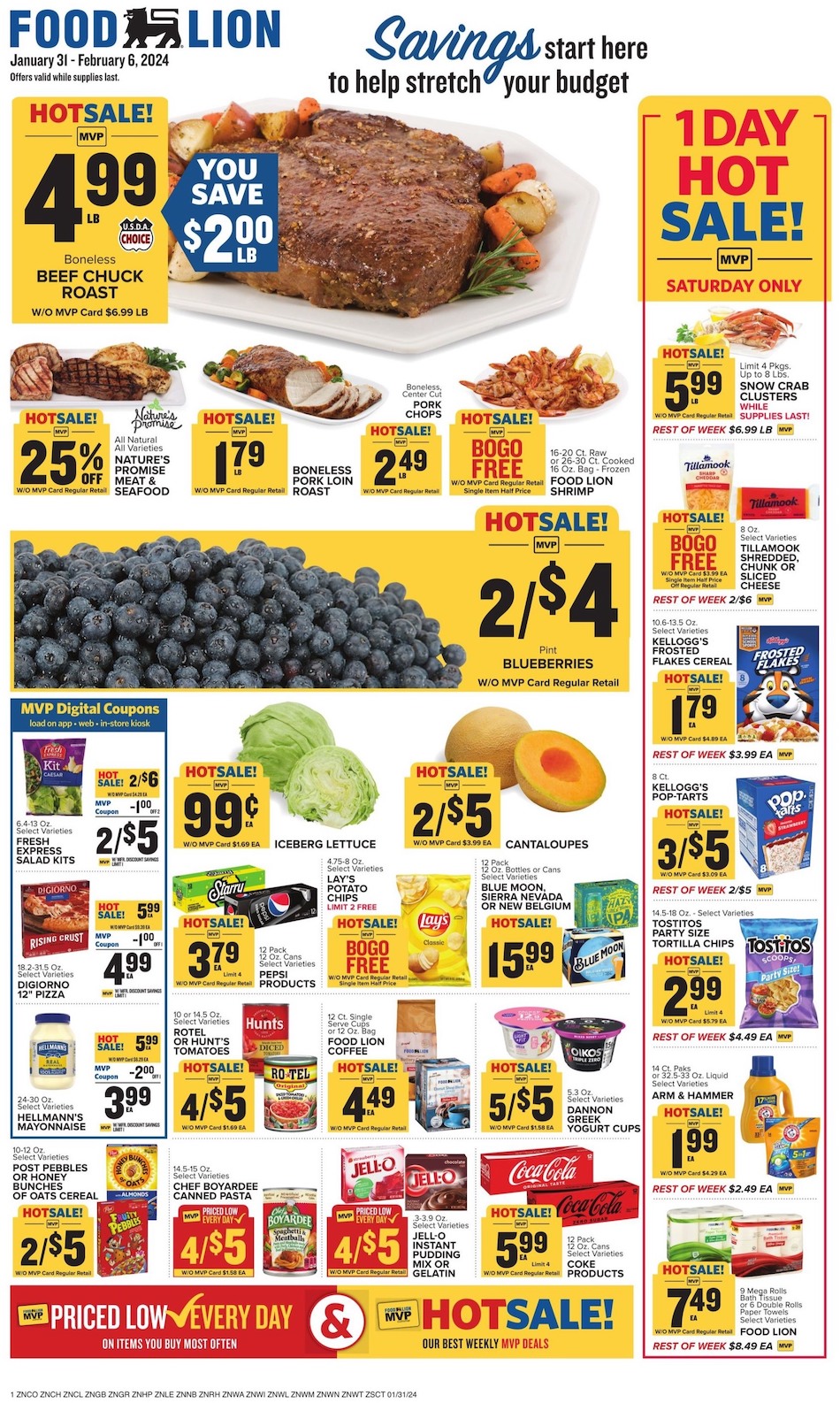 Food Lion Weekly Ad