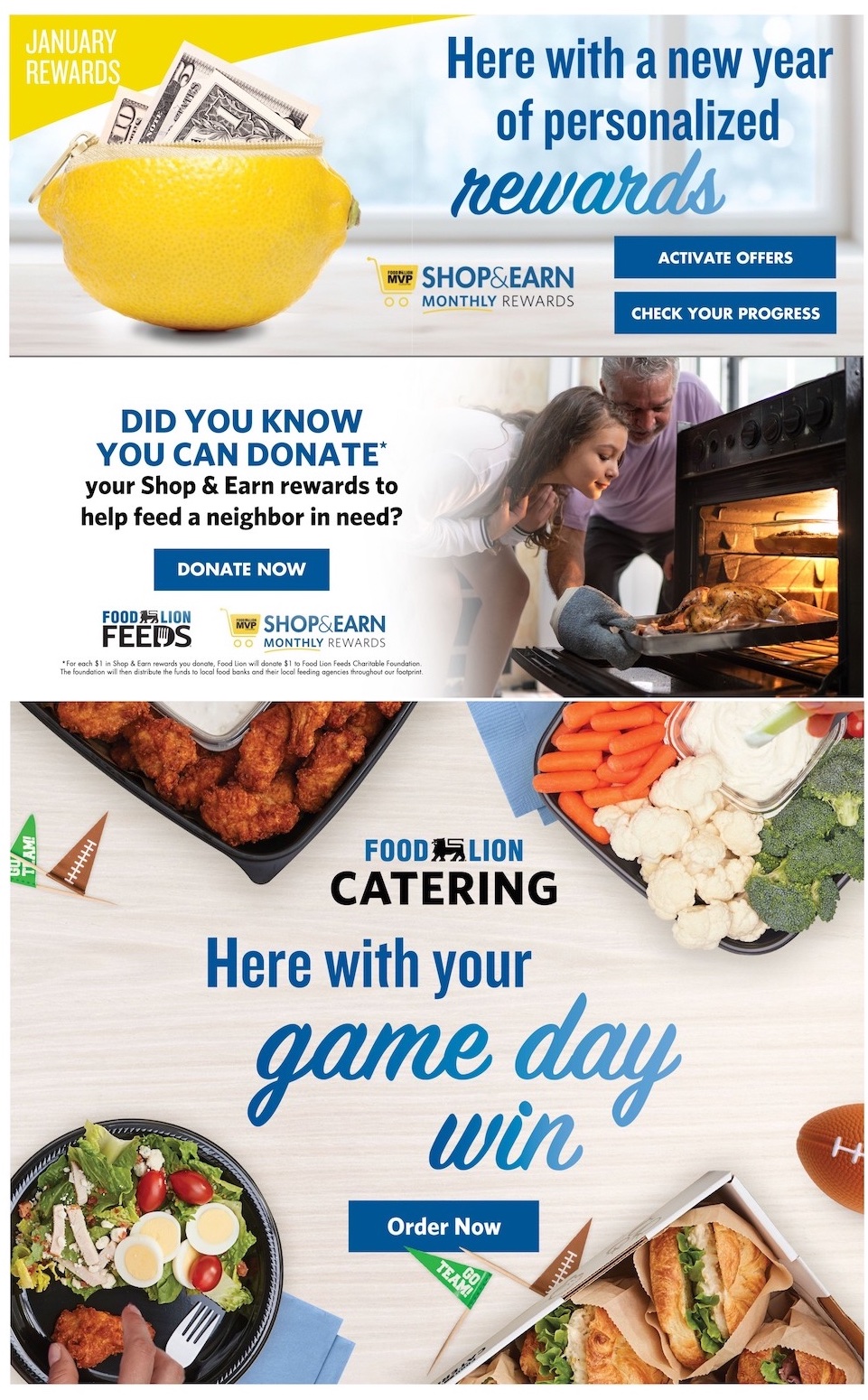 Food Lion Weekly Ad