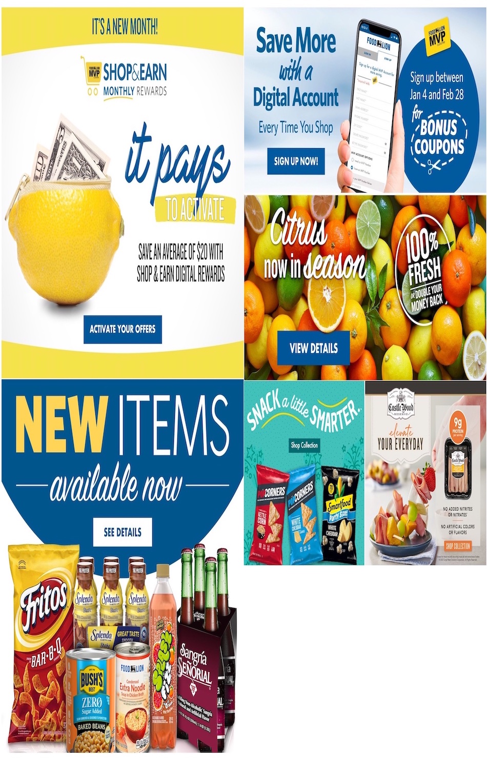 Food Lion Weekly Ad