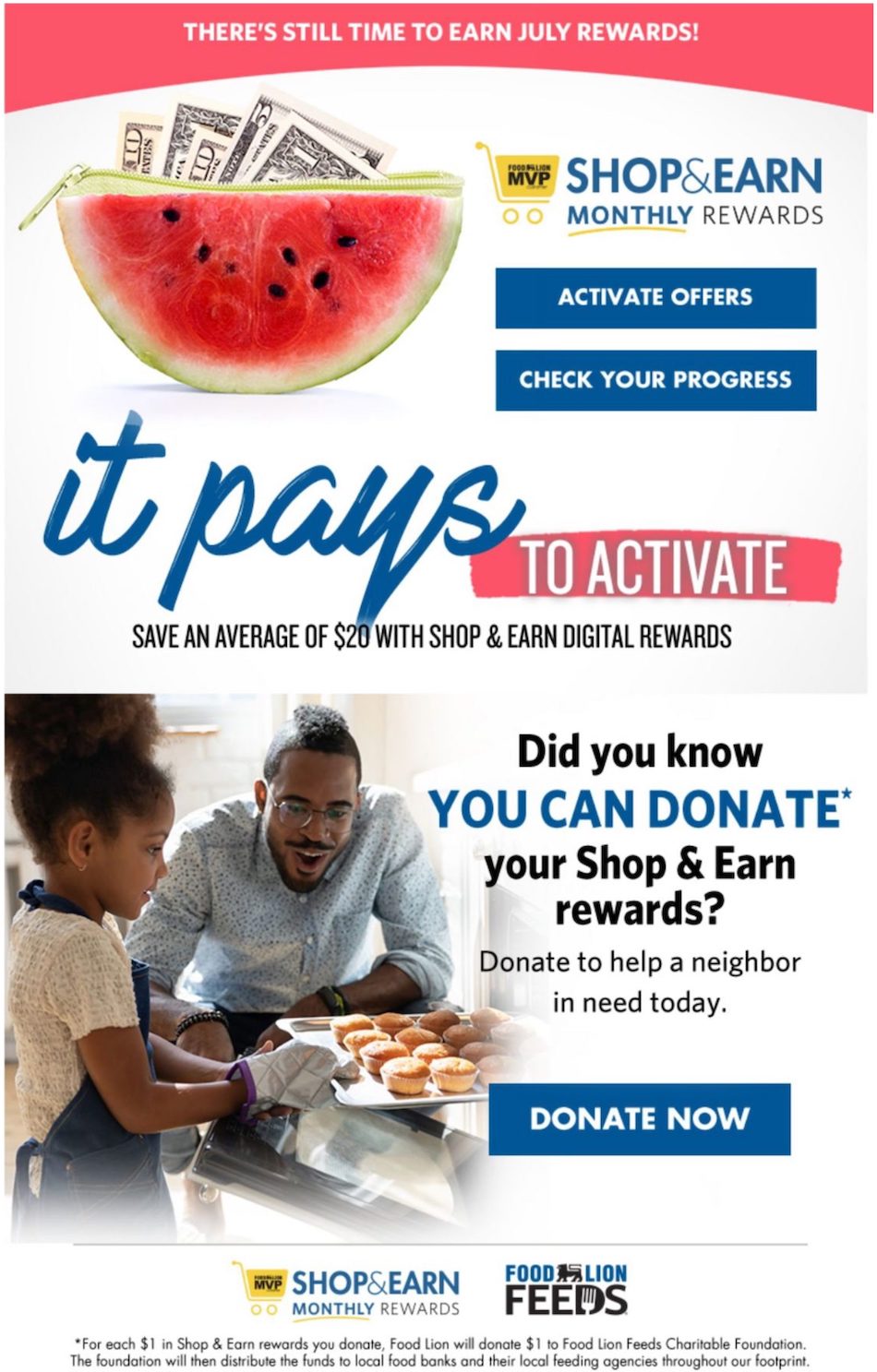 Food Lion Weekly Ad
