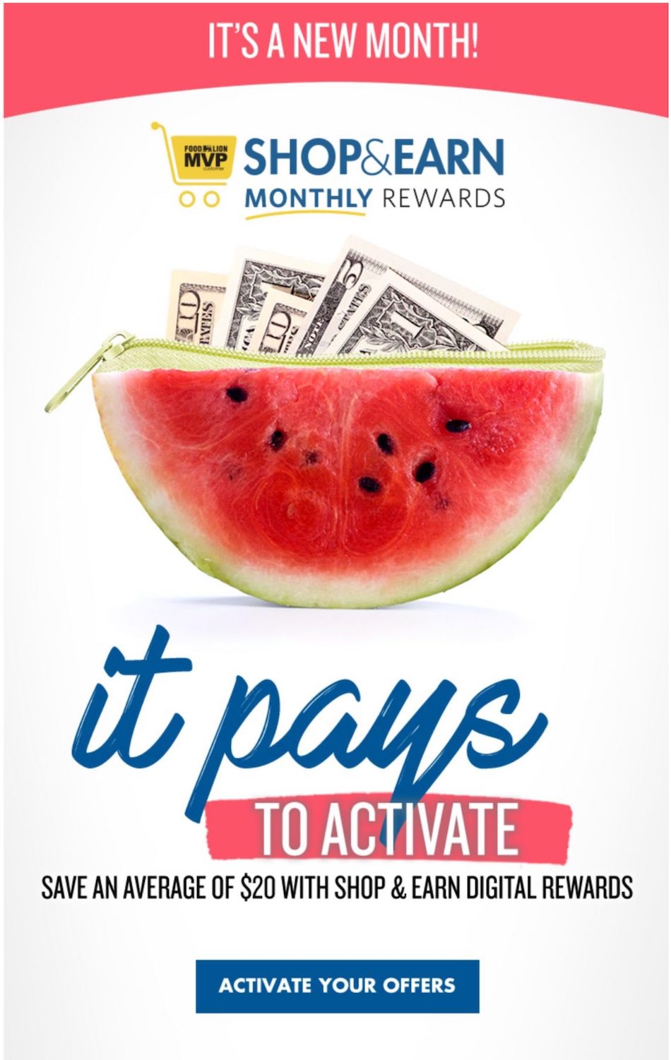 Food Lion Weekly Ad