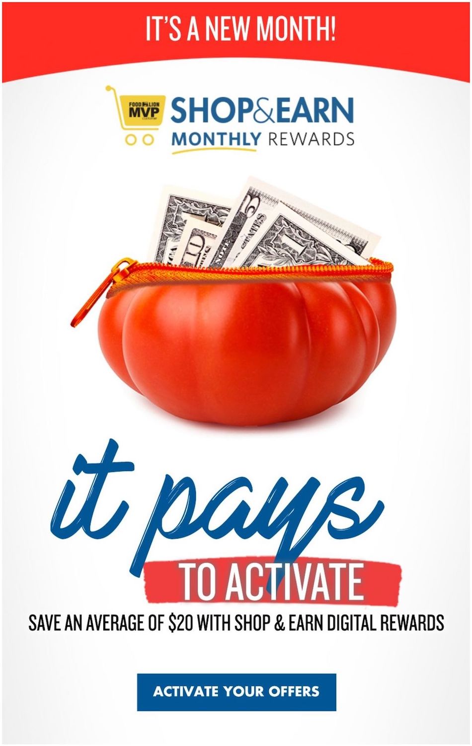 Food Lion Weekly Ad