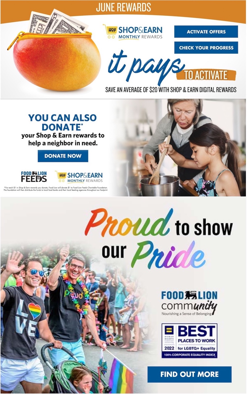 Food Lion Weekly Ad