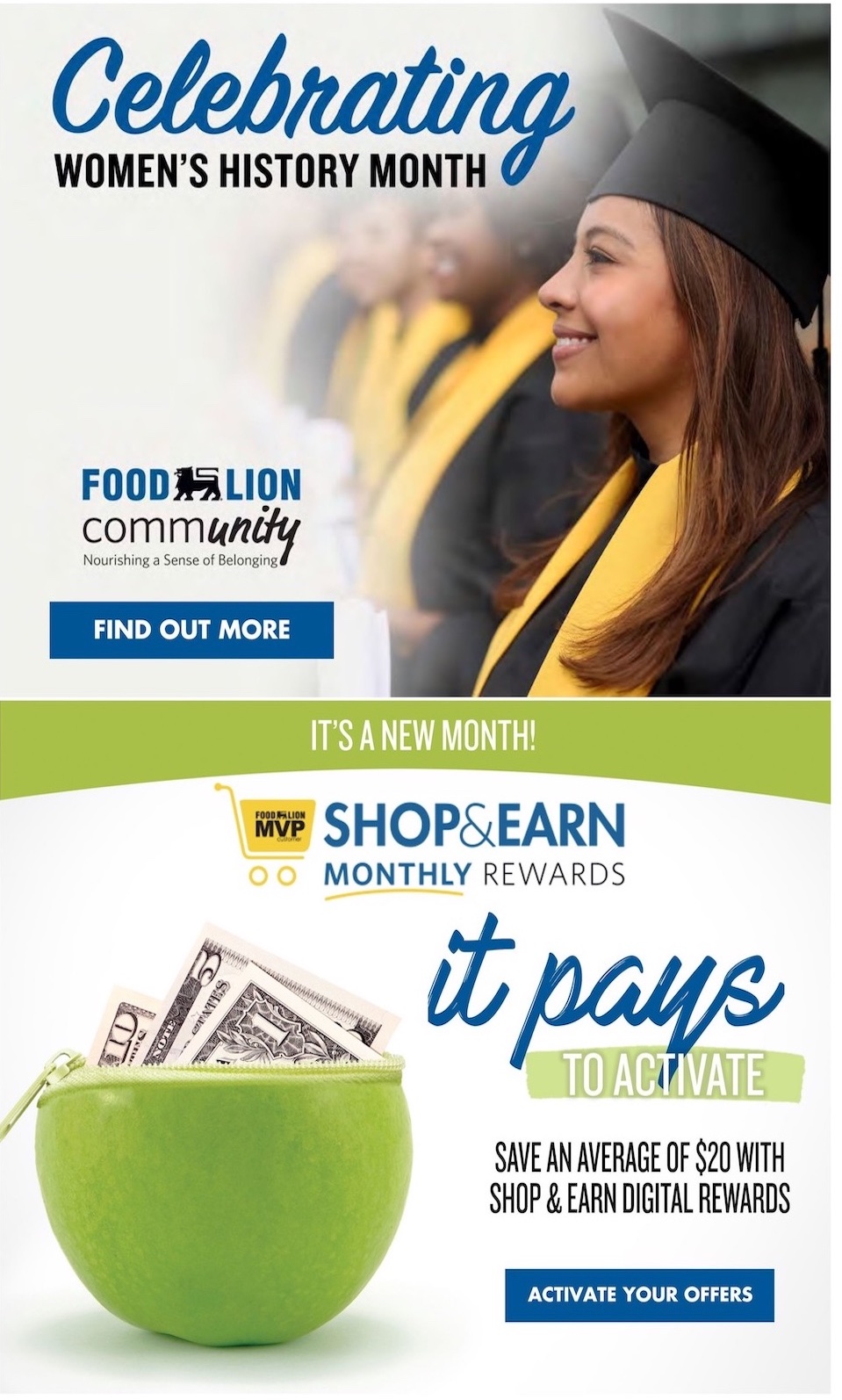 Food Lion Weekly Ad