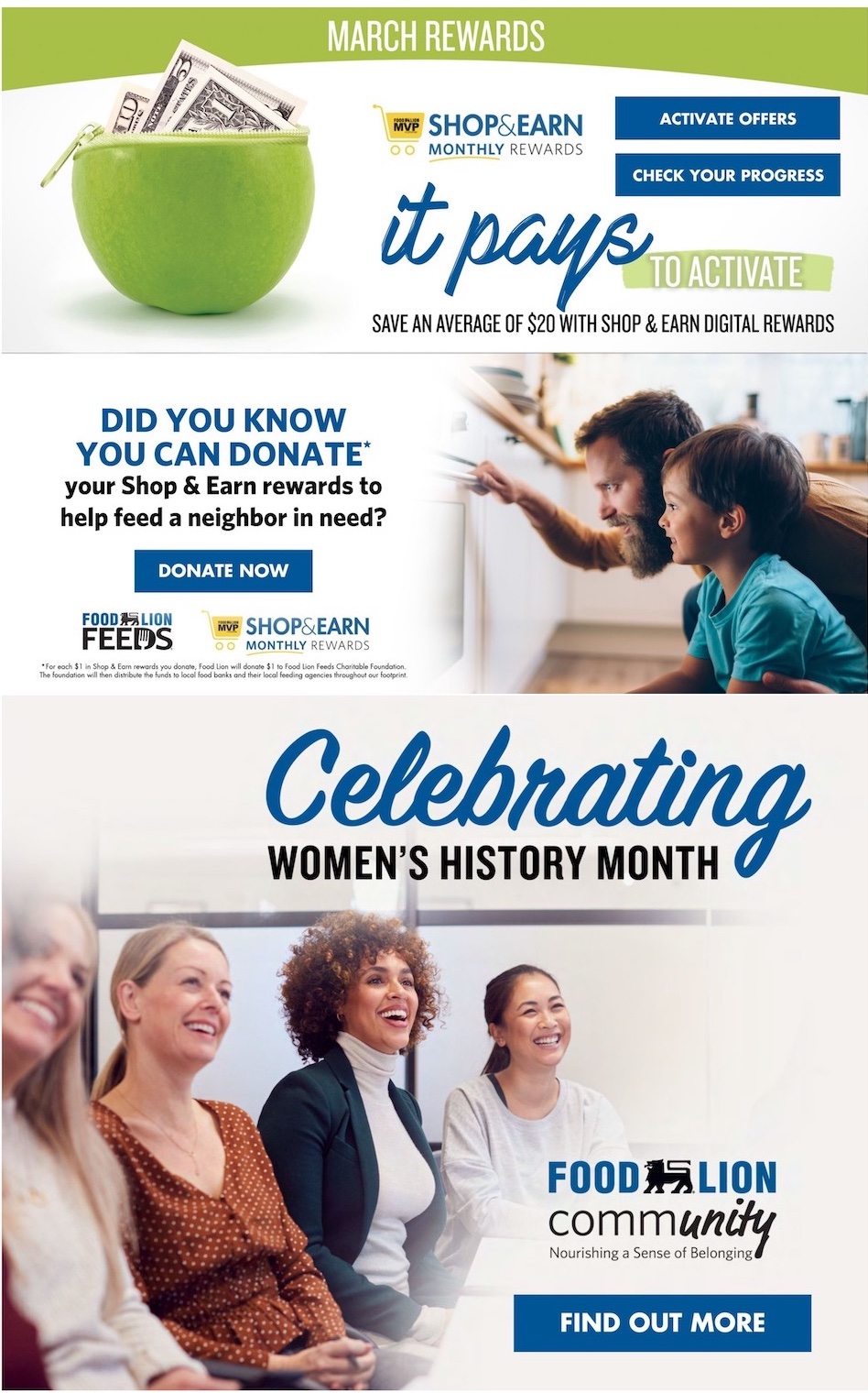 Food Lion Weekly Ad