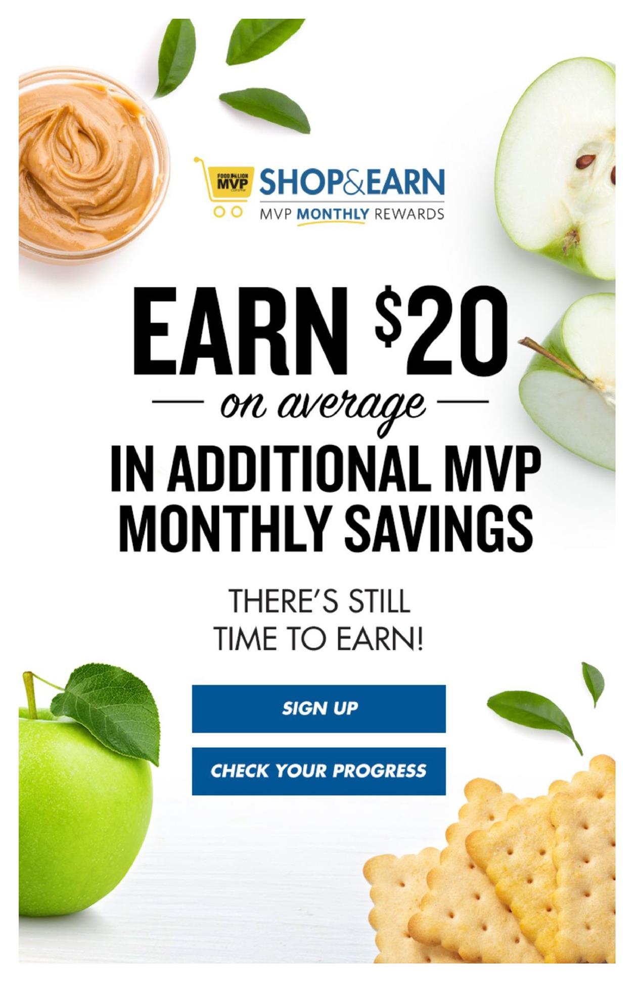 Food Lion Weekly Ad