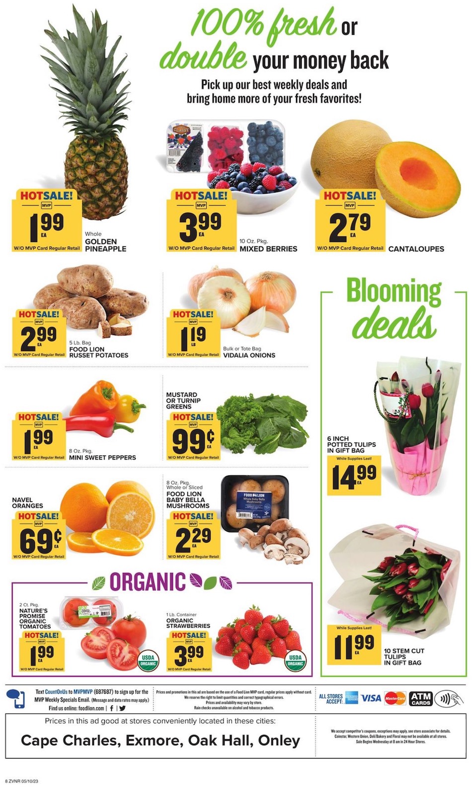 Food Lion Weekly Ad page 10