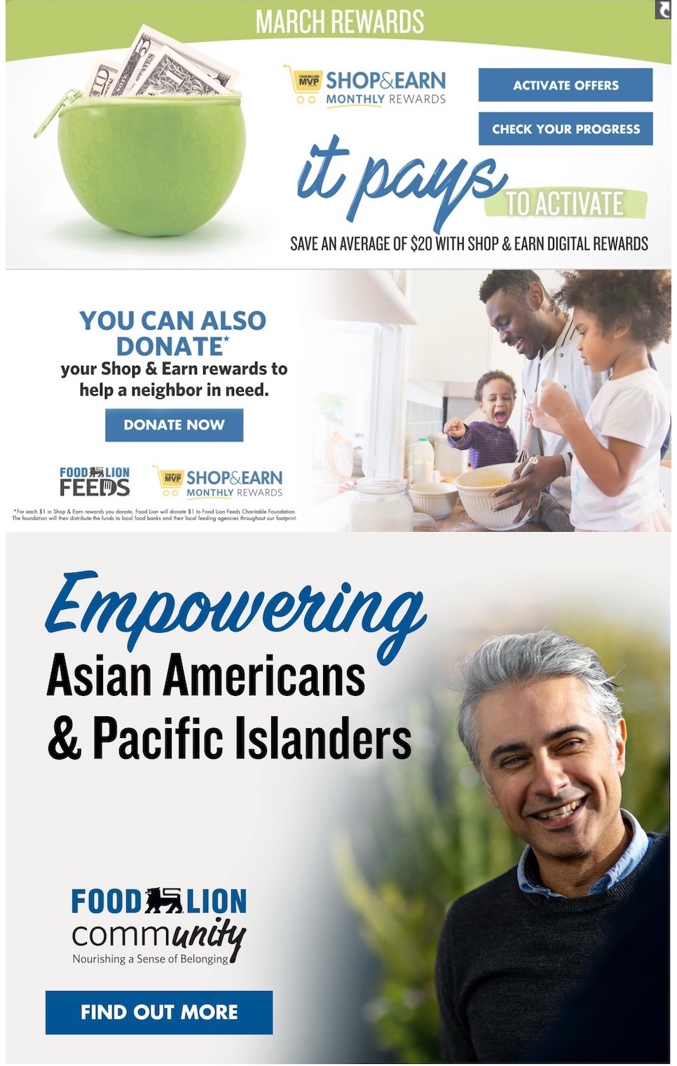 Food Lion Weekly Ad