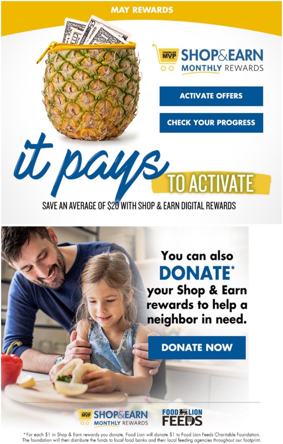 Food Lion Weekly Ad