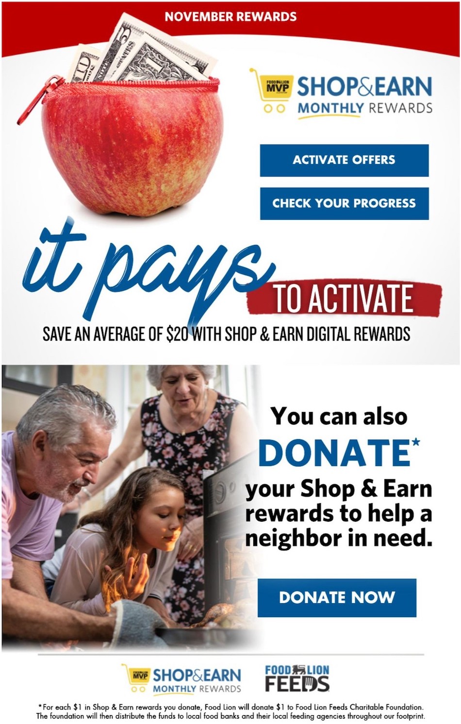 Food Lion Weekly Ad